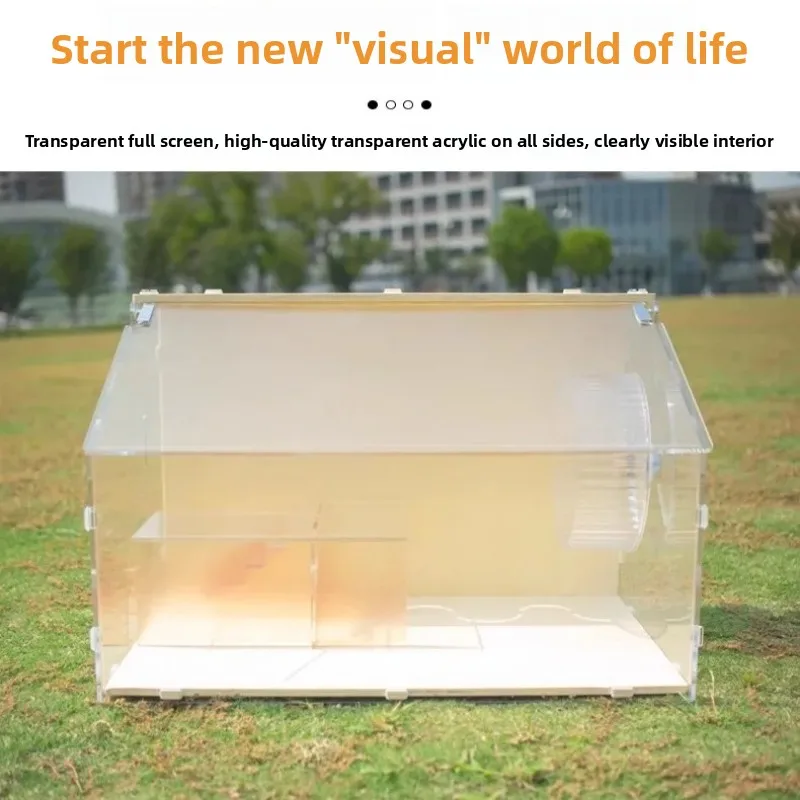 360° View Hamster Tank - 10mm Acrylic Cage with Ventilated Wooden Top, Naturalistic Habitat for Dwarf Hamsters & Small Birds - Image 4