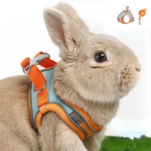 Rabbit Walks Adjustable Bunny Harness and Leash Set Double Buckle with Reflective Strips Rabbit Vest Pets Stuff Suitable