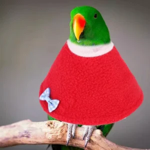2Pcs Pet Recovery Collar Adjustable Small Bird Parrot Anti Scratch Healing Neck Protective Collar Bow Embellishment