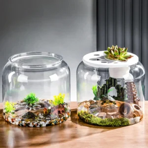 Transparent Turtle Aquarium Turtle Tank With Removable Lid Desk Decorative Terrarium Container DIY Micro Landscape Fish Tank