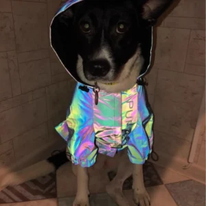 Reflective Design Outdoor Windproof Rainproof Dog Coat For Large Dogs Raincoat