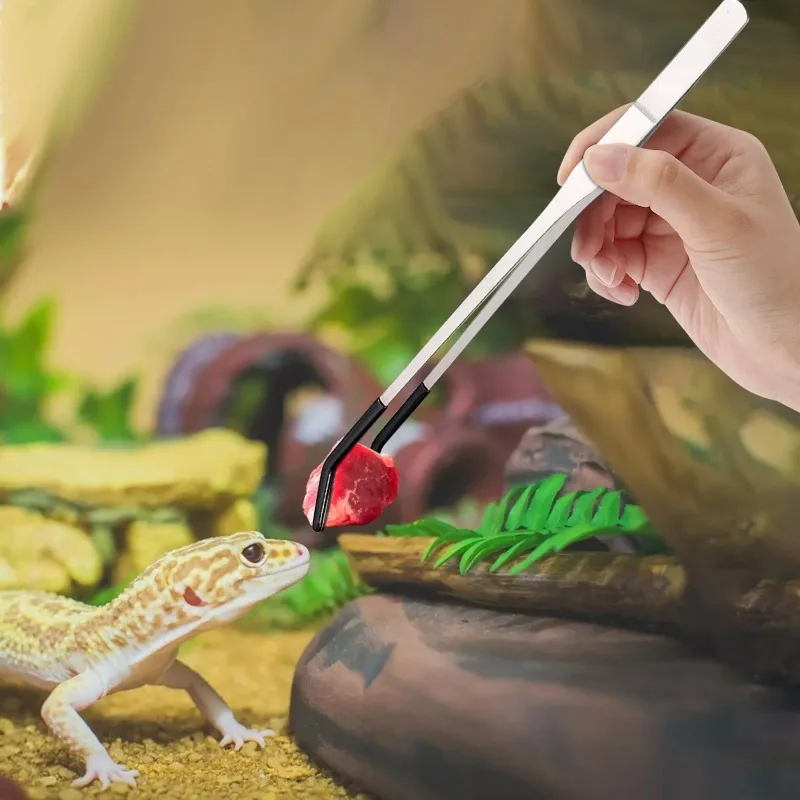 2pcs Bent Tip Tweezers For Crafts Stainless Steel Straight And Curved Nippers Tweezers Feeding Tongs For Reptile Lizards Spider - Image 4