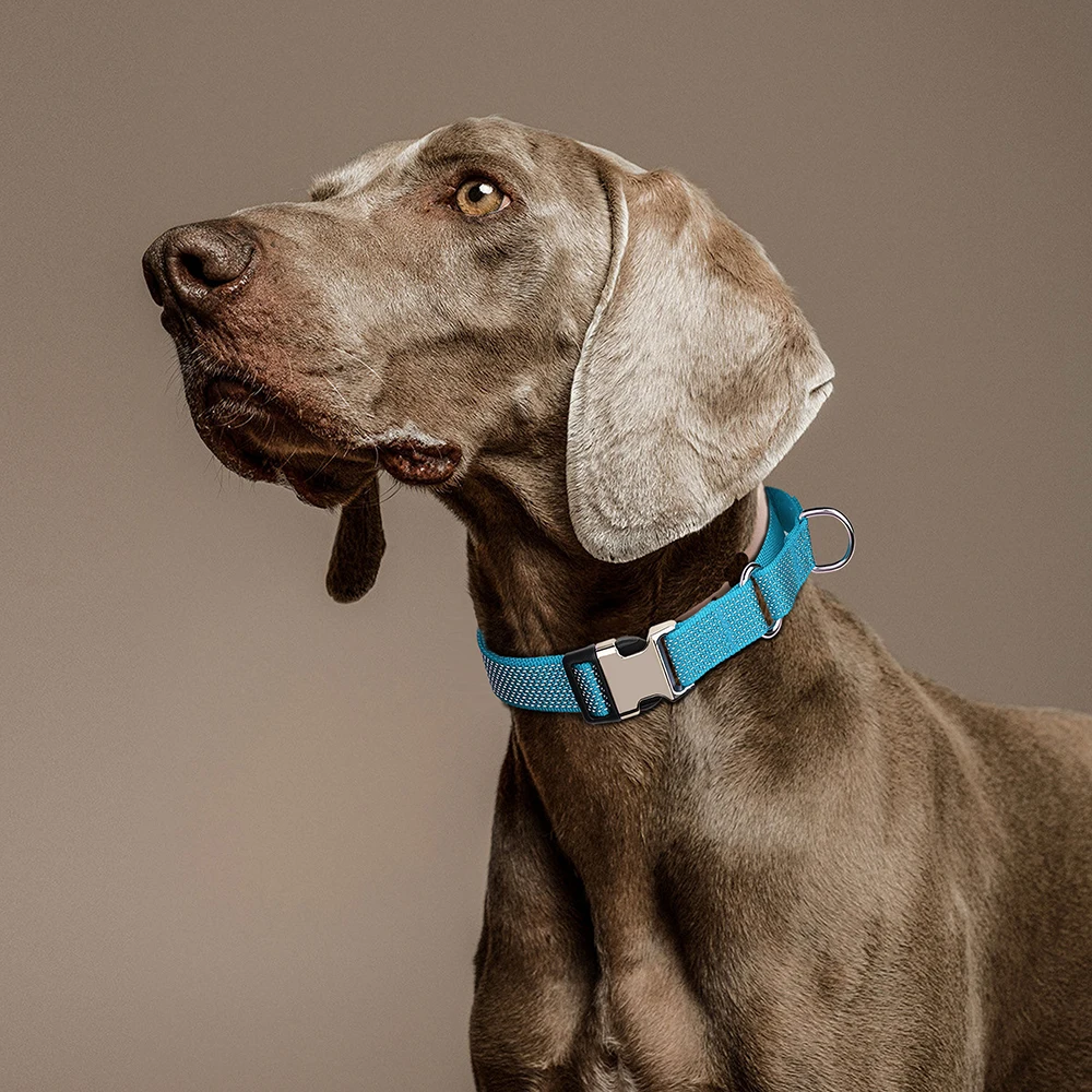 Reflective Nylon Dog Collar With Handle Adjustable Dog Collars Pet Training Walking Necklace for Small Medium Large Dogs Pug - Image 5