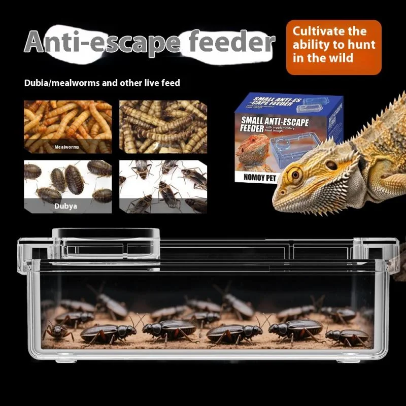 【E】Pet Reptile Lizard Turtle Transparent Feeder Anti-escape Food Bowl Worm Live Container Reptile Pet Bowls Feeder Pet Supplies - Image 4