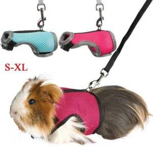 Rabbit Harness Leash Set Small Pet Chest Strap Adjustable Soft Mesh Harness with Leash Rat Vest Leashes Set Portable Elastic