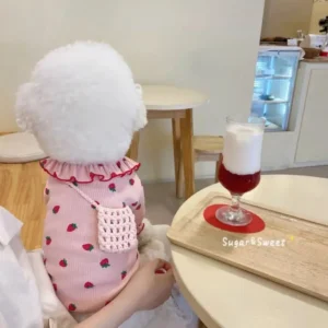 Pet Clothes,Dog T-Shirt Puppy Clothes Dog Skirt Dress Cats Clothes for Small Dogs Cats Puppy