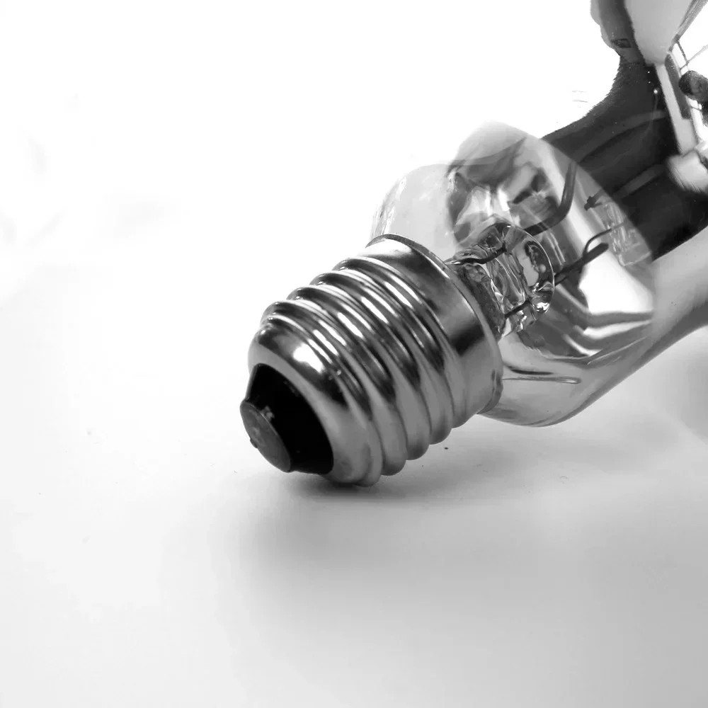 Nomoy 110 220V UVA+UVB Pet Crawling Pet Turtle Lizard Heating Calcium Supplement Tanning Lamp Full Spectrum Sun Lamp - Image 6