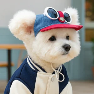 Two-piece fashionable pet sun hat and cool sunglasses set, dog baseball cap and cat head cover