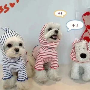 Pet Spring Clothing Stripe Wearing Hat Two Legged Clothes Dog Cat Clothes Teddy Hoodie Cute Photography Clothes