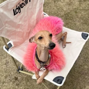 Warm Ladies Turkey Hair Sweater for Italian Greyhound Whippet Winter Long Sleeves Pink Coat With Buttons for Dogs in Autumn