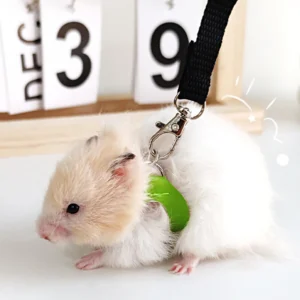 4 Pcs /set Sugar Quoll Harness + Leash Set Escape-Proof Adjustable Collar for Pet Small Animals Hamsters Sugar Gliders Squirrels