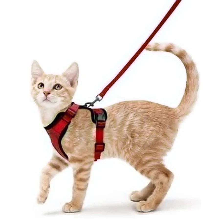 Summer Cat Dog Harness Lead Leash Adjustable Vest Polyester Mesh Breathable Harnesses Reflective for Small Dog Cat Lesah - Image 14