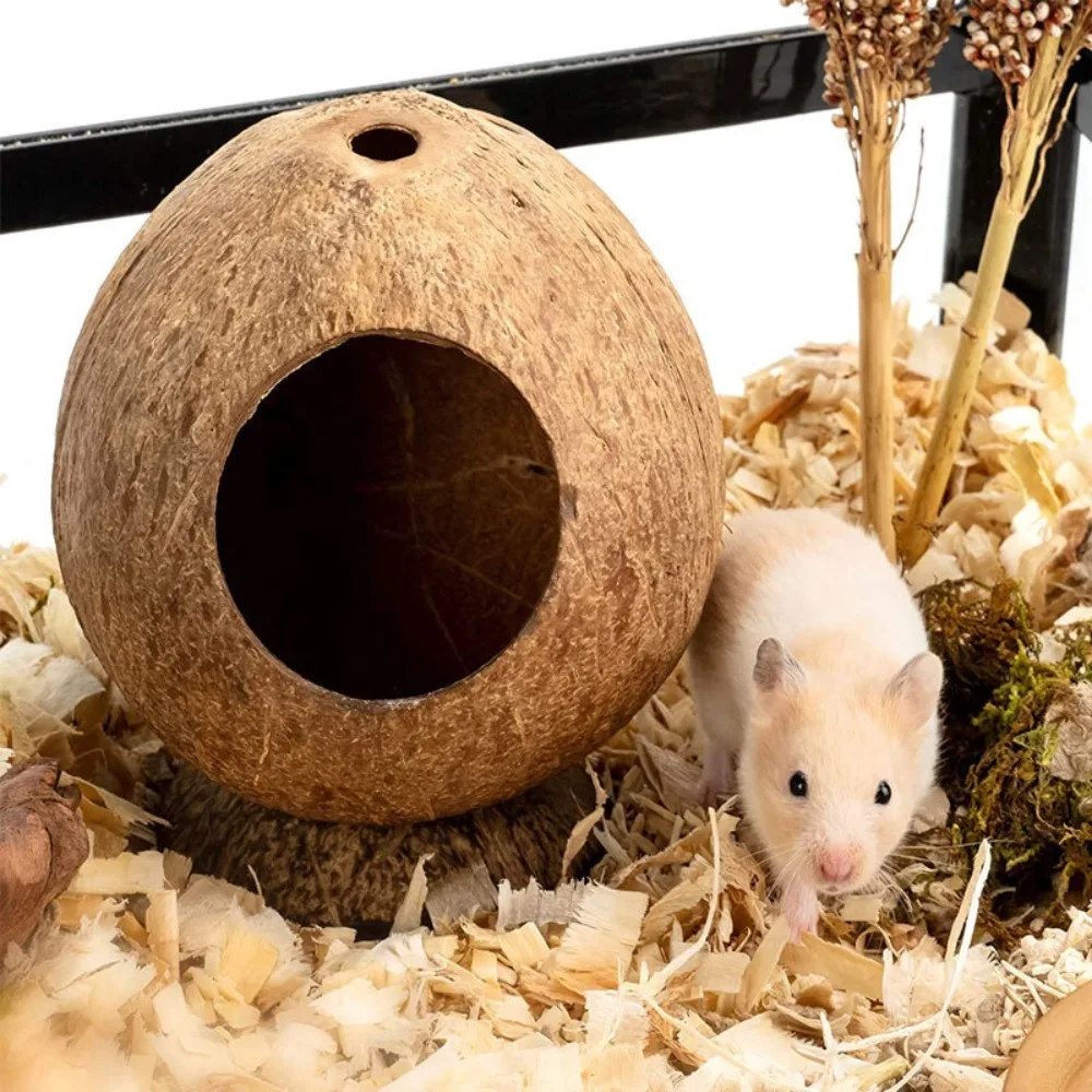Coconut Hamster House Bite Resistance Warm Bite-resistant Natural Coconut Shell Wear Resistant Guinea-pig Hamster Hideout House - Image 3