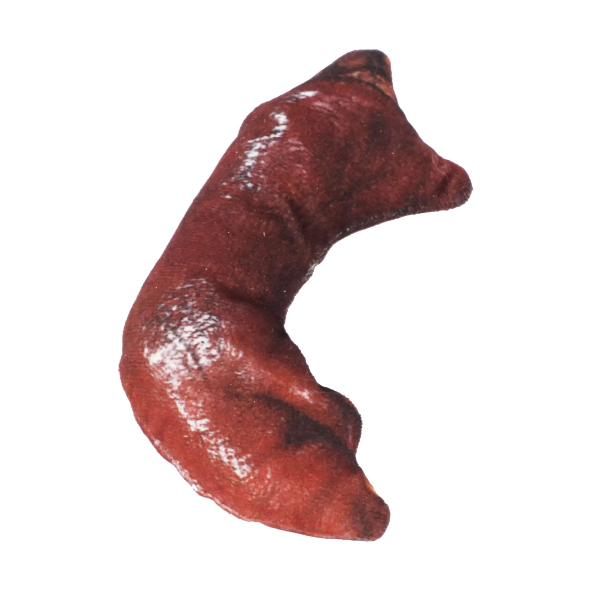 Pet Toy Simulation Vegetable Food Pet Tear-resistant Plush Toy Creative Fun Cat And Dog Toy Vocal Pet Toy - Image 11