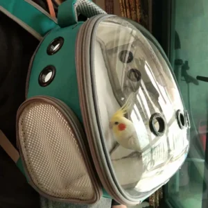 Transparent Pet Backpack for Hamsters Small Carrier for Guinea Pigs Sugar Gliders Ferrets Rabbits Convenient Pet Transport