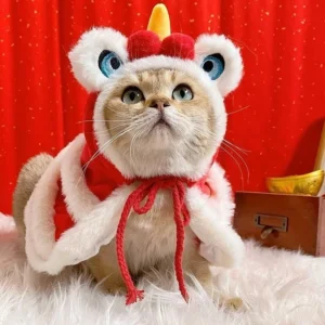 Cute Cat Dog Clothes New Year Costumes Pet Spring Festival Cape Dress Up Clothes Small Dog Cat Cloak Yorkshire Pet Clothes