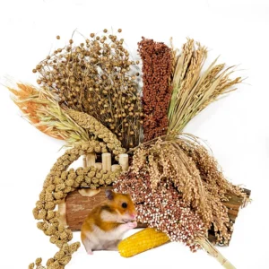 Natural Hamster Flower & Herb Habitat Deocr, Hamster Sprays Herbs Bedding Mate, Hamsters Cage Enrichment Decoration Acce