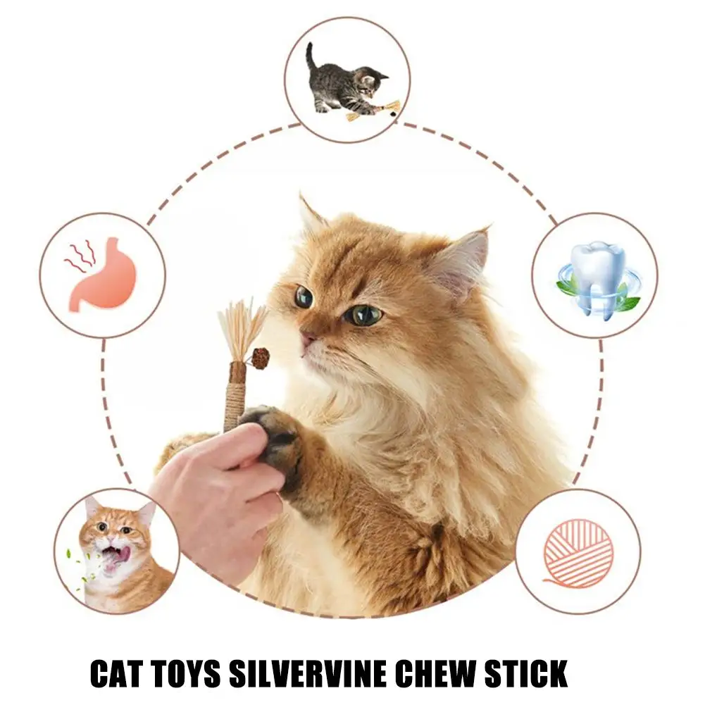 New Cat Toys Natural Matatabi Pet Cat Snacks Stick Cleans Tooth Removers Hair to Promote Digestion Silvervine Kitten Chew Toy - Image 2