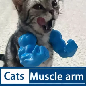 Cat Muscle Arm Pendant Pet Cat Fist Neck Fist Set Show Cat Doll Arm Strong Neck Hanging