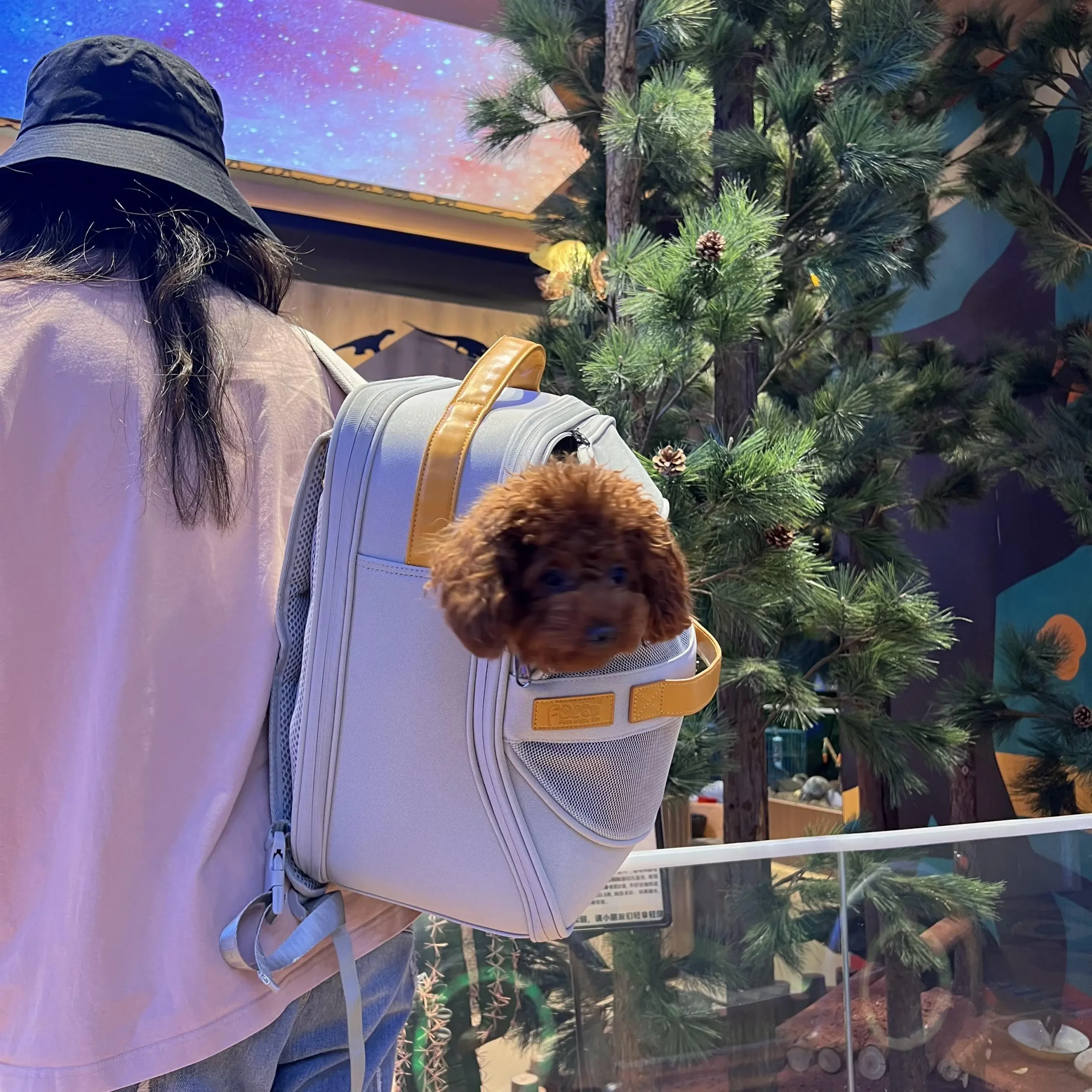 Breathable Dog Carrier Backpack for Small to Medium Dogs And Cats with Head out Design Comfortable Hands-Free Hiking Travel - Image 6