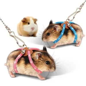 Escape Proof Hamster Traction Rope, Outdoor Play Leash for Gerbils Mice, Fun Interaction