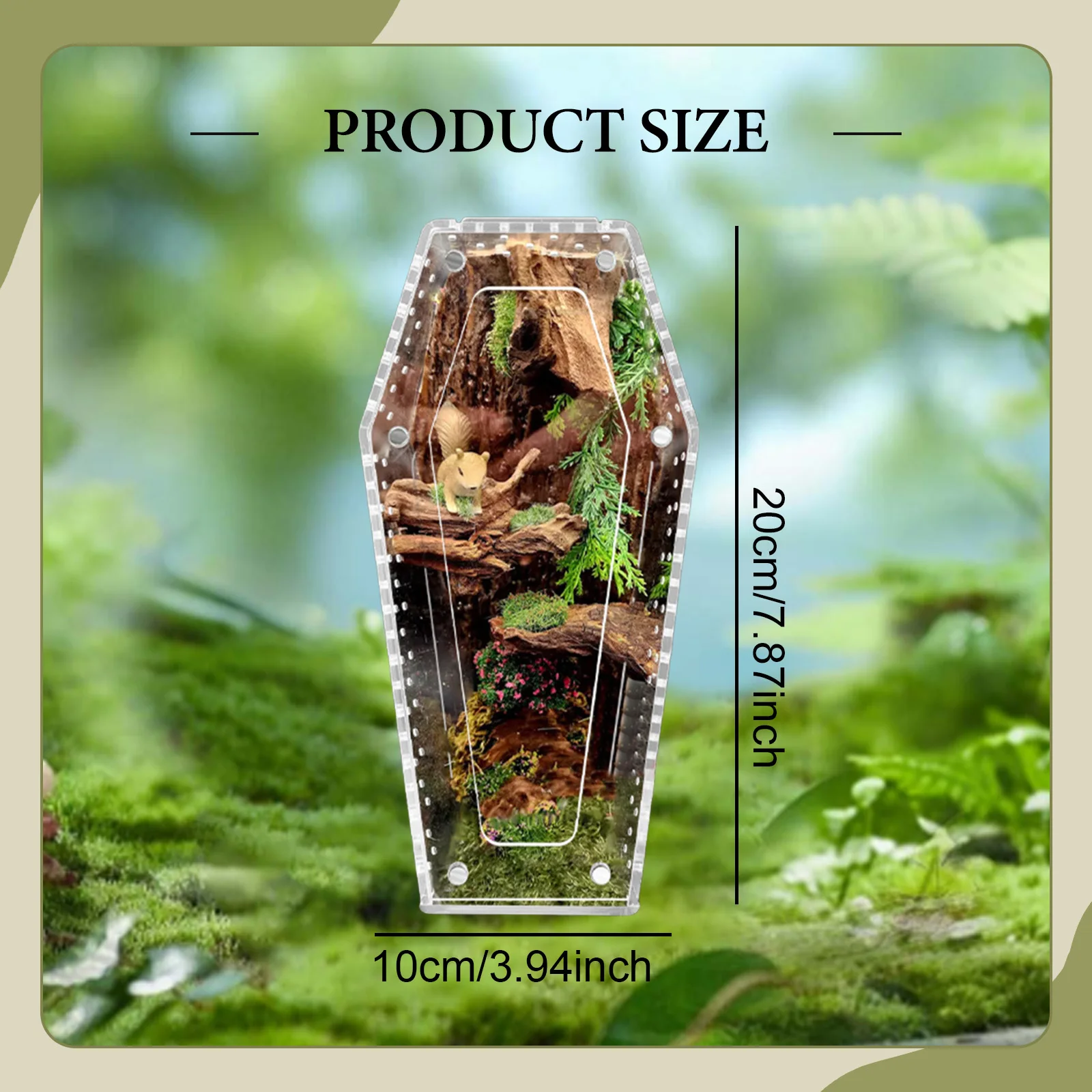 Transparent acrylic spider cage with ventilation Reptile pet insect amphibian habitat breeding box - Image 6