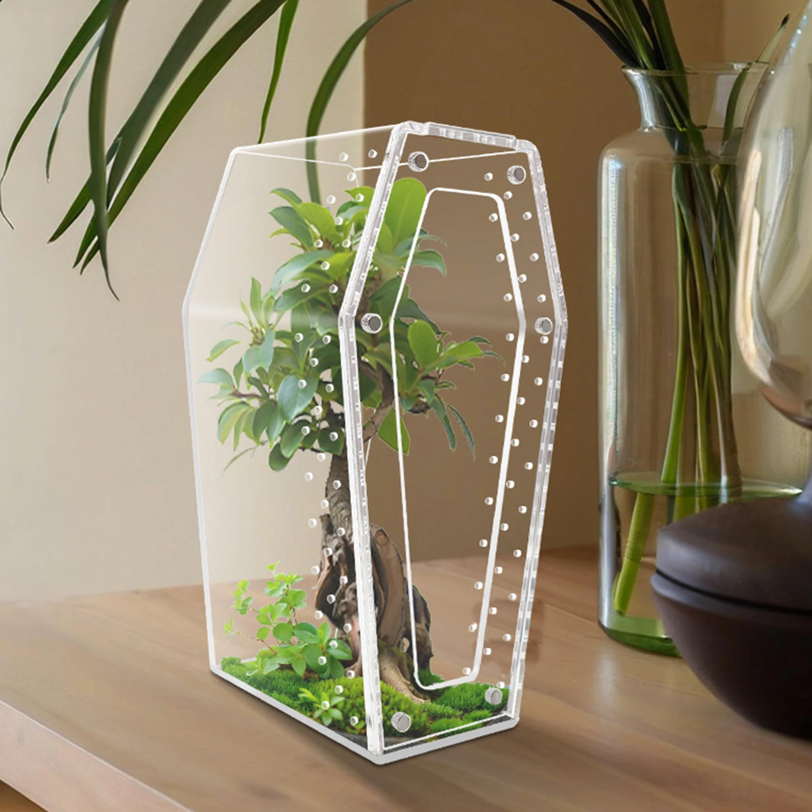 Transparent acrylic spider cage with ventilation Reptile pet insect amphibian habitat breeding box - Image 4