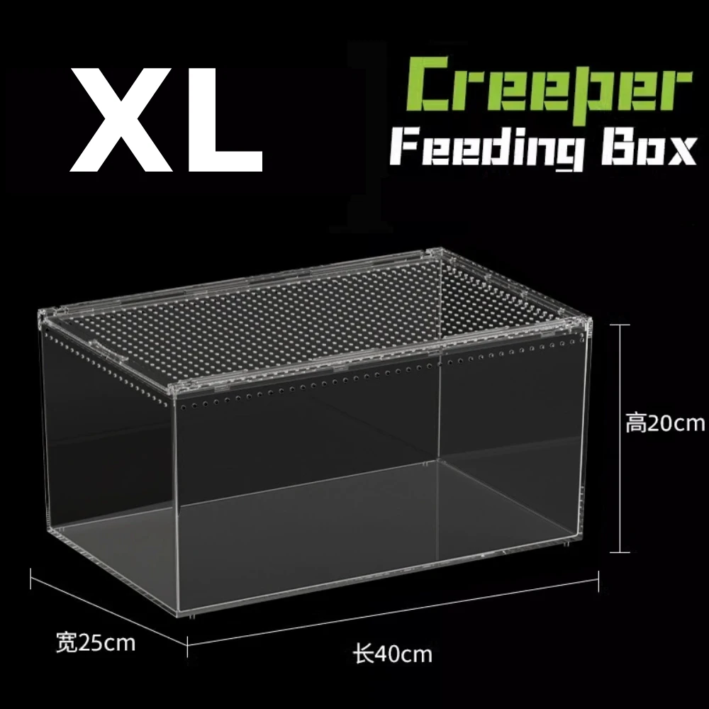 Transparent acrylic spider cage with ventilation Reptile pet insect amphibian habitat breeding box - Image 8