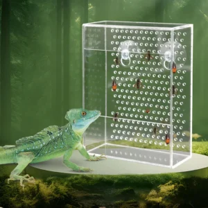 Wall Mounted Acrylic Reptile Feeder Transparent Feeding Box with Suction Cups for Gecko Lizard Bearded Dragon Feeding Supplies