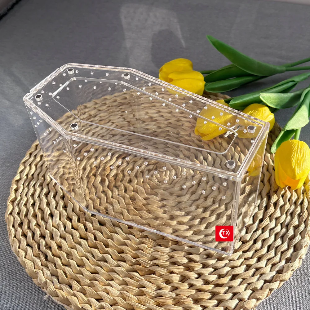Transparent acrylic spider cage with ventilation Reptile pet insect amphibian habitat breeding box - Image 2