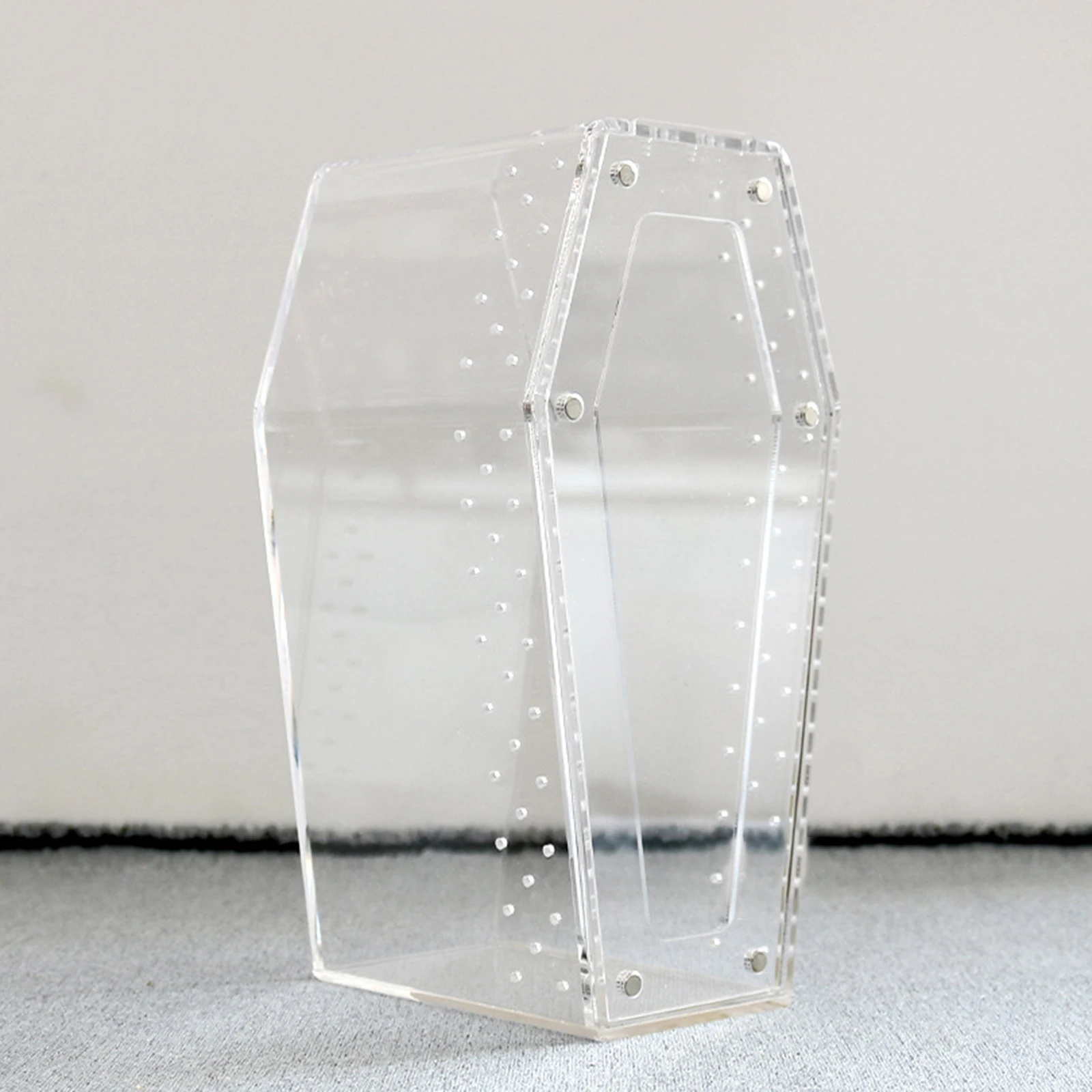 Transparent acrylic spider cage with ventilation Reptile pet insect amphibian habitat breeding box - Image 3