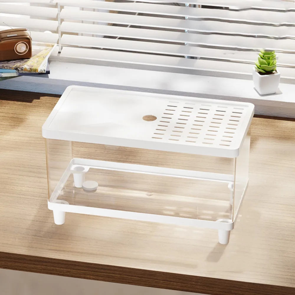 Multifunctional Transparent Reptile Terrarium Visual Breathable Lizard Breeding Box with Cover Reptile Habitat Landscaping - Image 7