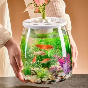 Transparent Small Clear Fish Tank Shatterproof With Lid Turtle Terrarium Plastic Turtle Aquarium Aquarium Setup