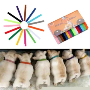 15PCS Puppy Newborn Pets Identify Collars Adjustable Nylon Small Dog Collars Kitten Necklace Whelping Puppy Collars Pet Supplies