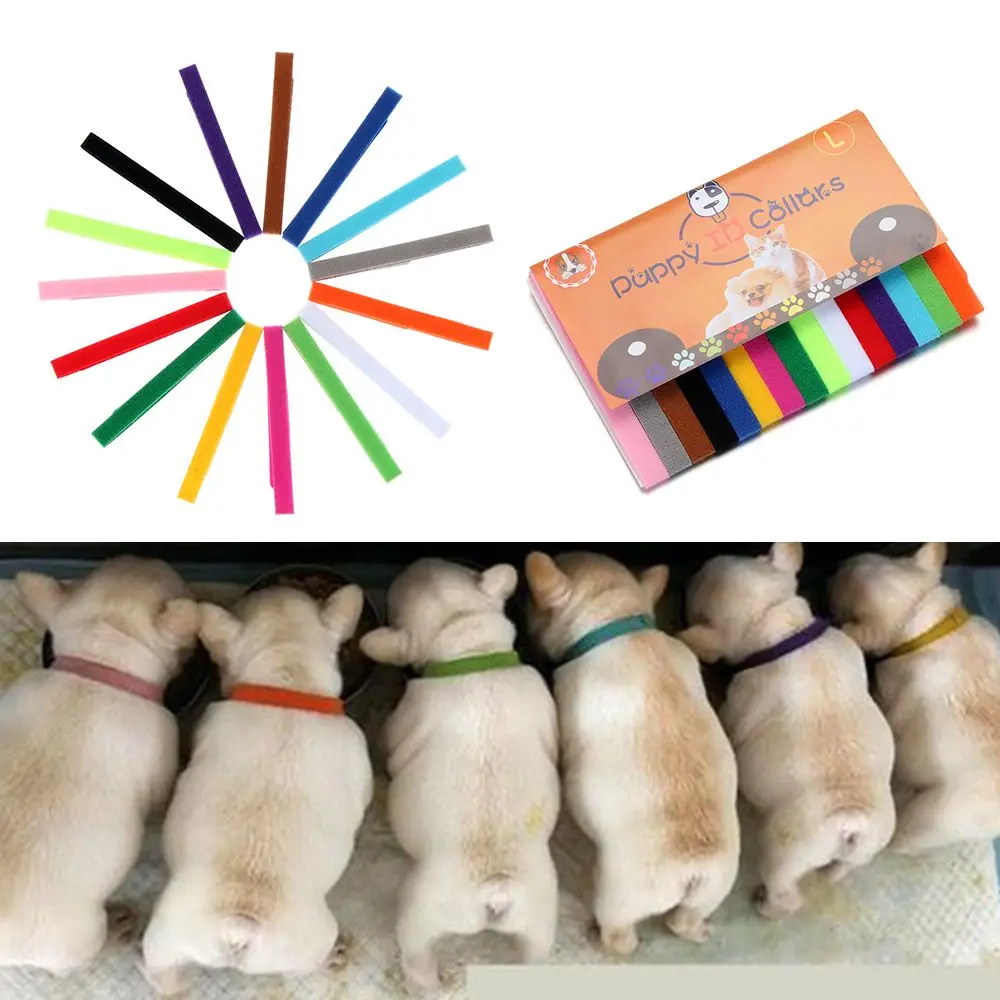 15PCS Puppy Newborn Pets Identify Collars Adjustable Nylon Small Dog Collars Kitten Necklace Whelping Puppy Collars Pet Supplies
