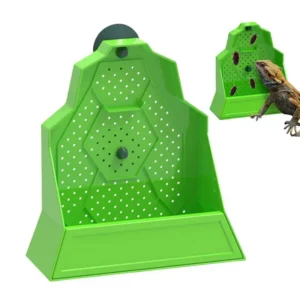 Chameleon Feeder Reptile Food Dish Hunting Bowl Anti-Escape Feeder For Snake Frog Tortoise Bearded Dragon Spider Amphibian
