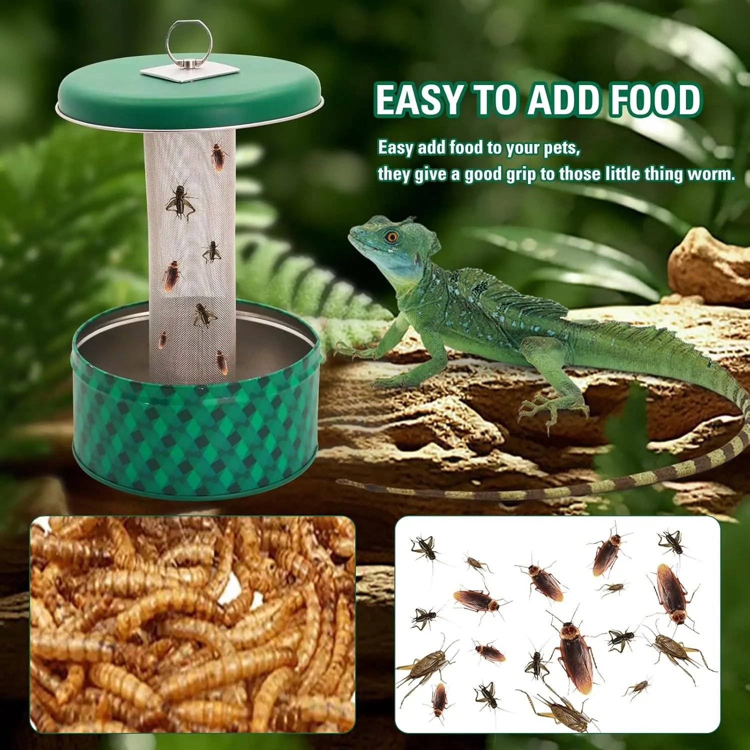 Bearded Dragon Feeder Chameleon Bug Bowl Reptile Feeder Box Wall-Mounted Insect with Suction Cups Tank and Aquarium Accessories - Image 4