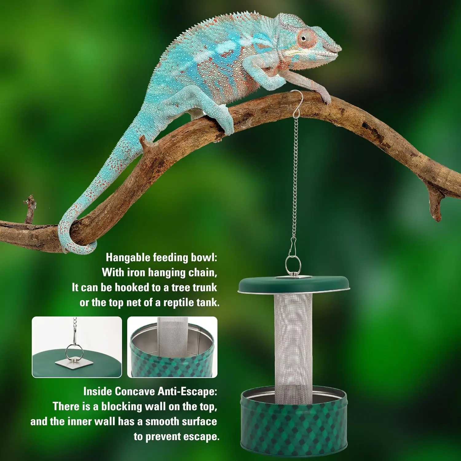 Bearded Dragon Feeder Chameleon Bug Bowl Reptile Feeder Box Wall-Mounted Insect with Suction Cups Tank and Aquarium Accessories - Image 3