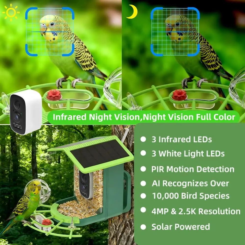 4MP 2.5K WIFI Bird feeder Camera Real Time Bird watching APP Full color Night Vision Smart AI bird recognition with Solar Panel - Image 3