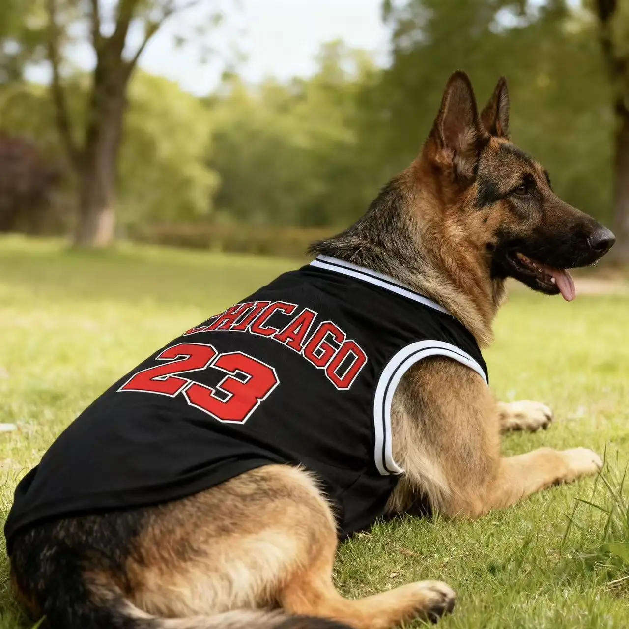 Summer Cooling Pet Dog Mesh Vest Chicago Soft Basketball Clothes Summer Casual Shirt For Medium Large Dog Labrador Pet Clothing - Image 3