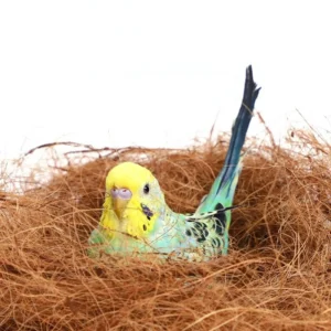 100/200g Coconut Fiber Nesting Material Nest / Fibre Aviary Birds Canaries Finches Nest Filled Grass Bird Cage Accessories