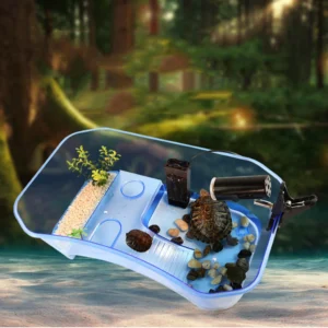 Translucent Plastic Reptile, , Turtle, Turtle, Tank, Nurseries, Terrariums, Box with Coconut Tree Ornament