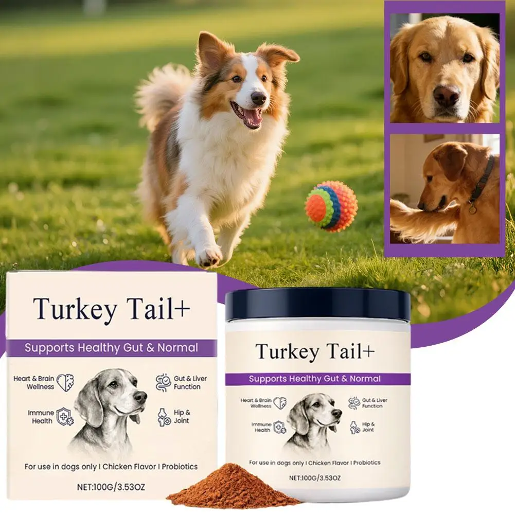 Dog Probiotic Intestinal Powder 100g Delicious Bacon Flavor Gut Flora Balance Digestive Support for Dogs Nutritional Supplement - Image 3