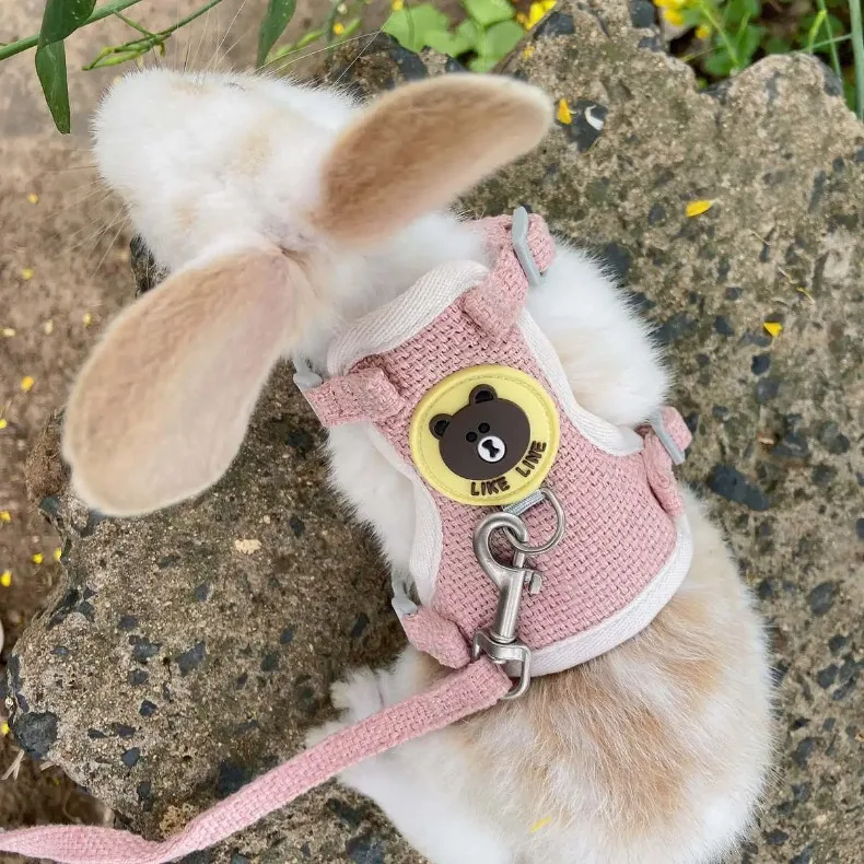 Cute Rabbit Harness Leash Set Bunny Pet Accessories Small Pet Carrier Teddy Bear Cat Leash Rabbit Collar Rabbit Accessories - Image 2