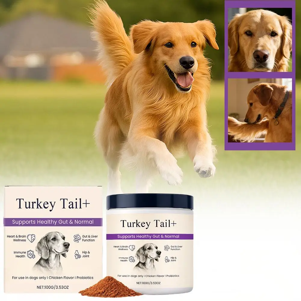 Dog Probiotic Intestinal Powder 100g Delicious Bacon Flavor Gut Flora Balance Digestive Support for Dogs Nutritional Supplement - Image 2