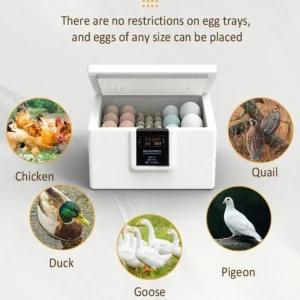Thermostatic Incubator Manual Turnover USB Poultry Incubator Bionic Waterbed and Egglighter Incubator All-in-One Machine