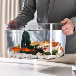 Fall Prevention Explosion-proof Plastic Fish Tank PET Transparent Tabletop Fish Tank Small Ecological Water Tank