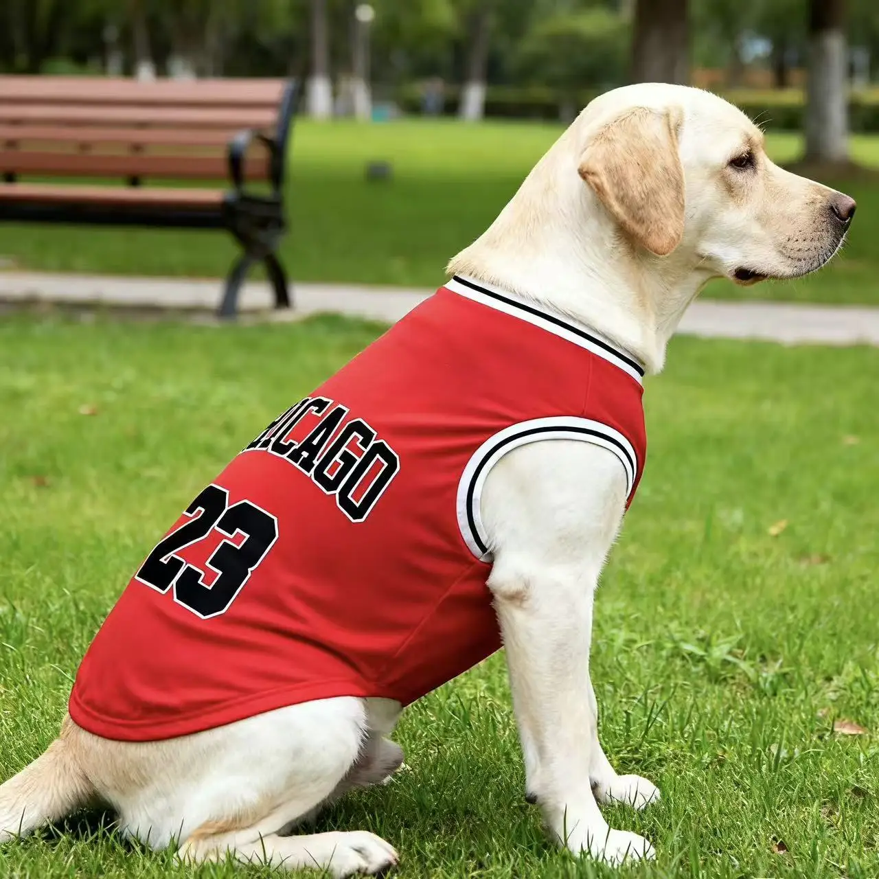 Summer Cooling Pet Dog Mesh Vest Chicago Soft Basketball Clothes Summer Casual Shirt For Medium Large Dog Labrador Pet Clothing - Image 6