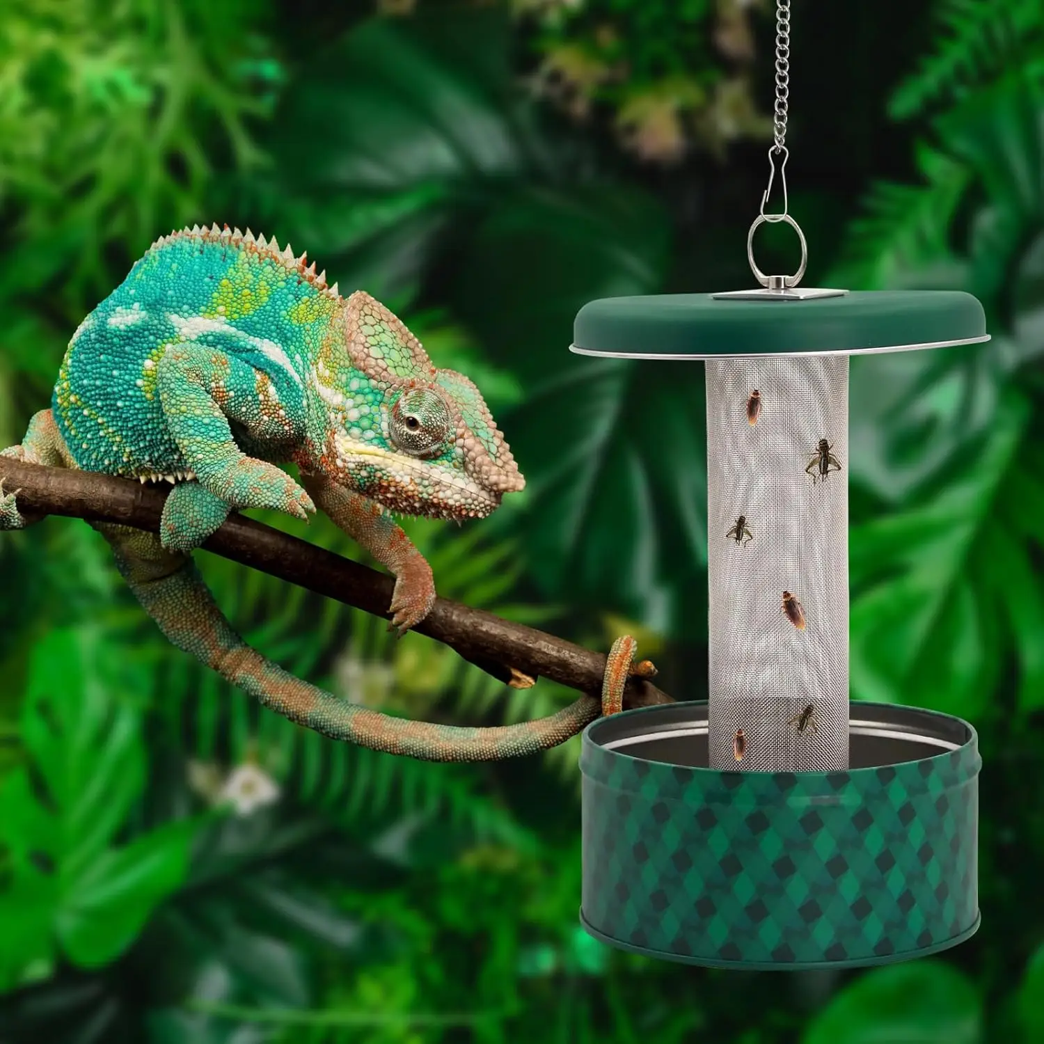 Bearded Dragon Feeder Chameleon Bug Bowl Reptile Feeder Box Wall-Mounted Insect with Suction Cups Tank and Aquarium Accessories - Image 6