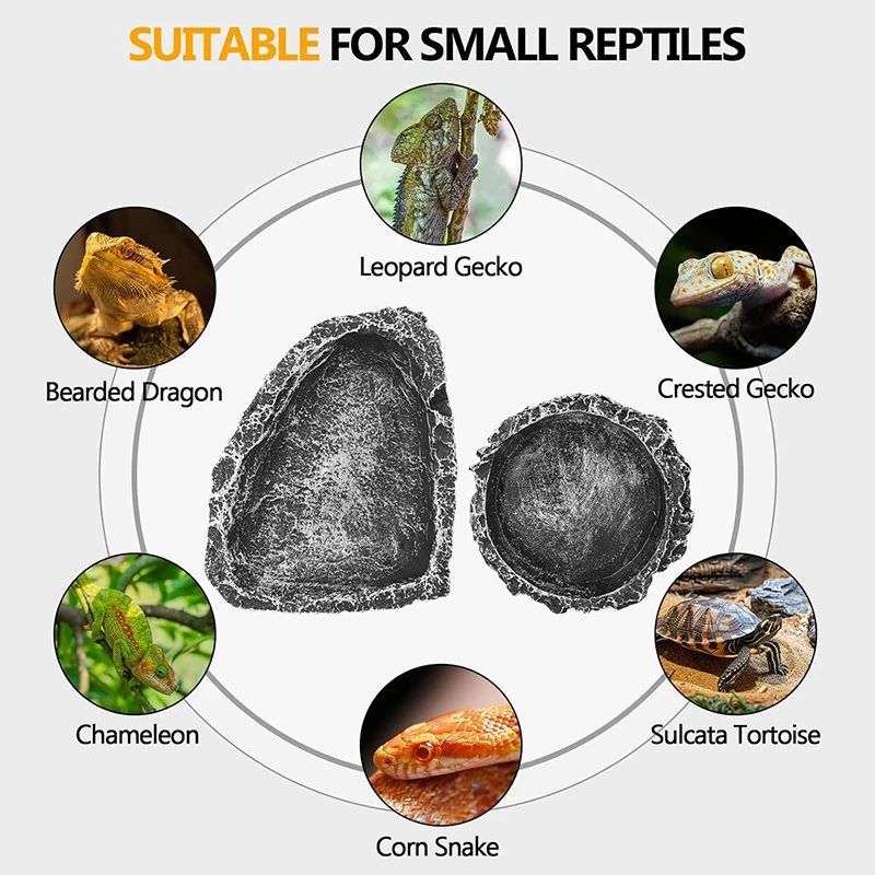 Imitation Stone Bowl Reptile Pet Feeding And Water Bowls Safe And Durable Ideal For Bearded Dragons And Other Small Reptiles - Image 3